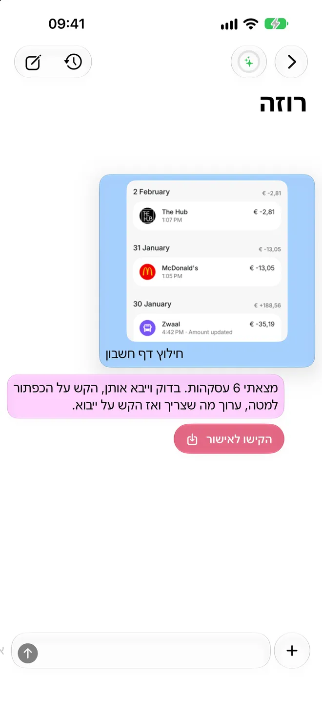 חילוץ דף חשבון